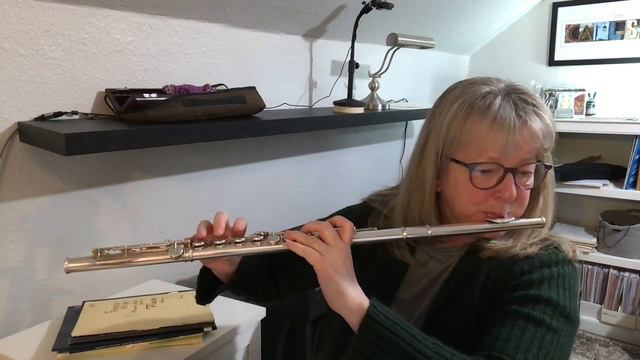 Taffanel & Gaubert Vingt-Quatre Etudes Progressives ~ #14 смотреть онлайн