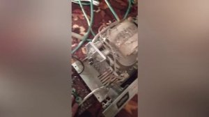 ремонт зарядно пускове єлектроніка зп-01