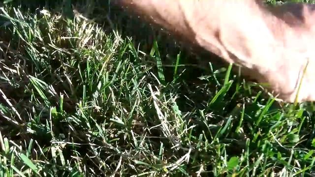 Makro racer 2 - Coin spill and a deep dig смотреть онлайн