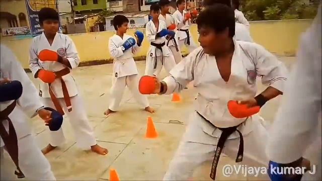 Mushin Shotokan Karate-do Training Promotional Video