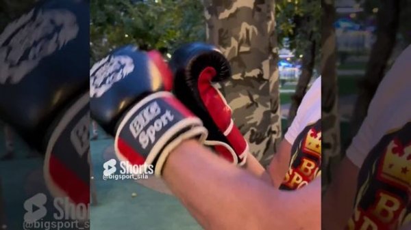 Перчатки BIGSPORT