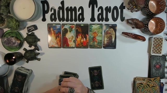 LEO SHINING BRIGHT ? November 6th-12th Career & Finances Weekly Tarot Reading смотреть онлайн