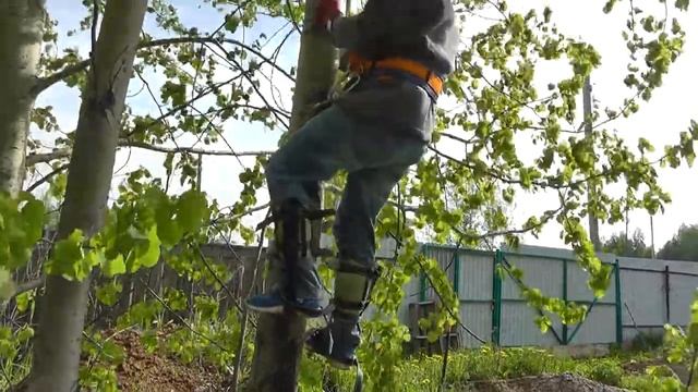 Гаффы или пики-древолазы