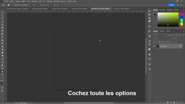 Réaliser un panoramique avec Photoshop 2023 смотреть онлайн