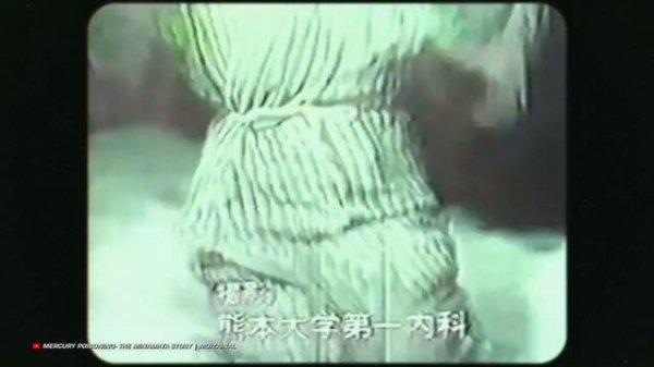 ЧЕМ ОТРАВИТЬСЯ, ЧТОБЫ ВЫЖИТЬ? – ТОПЛЕС