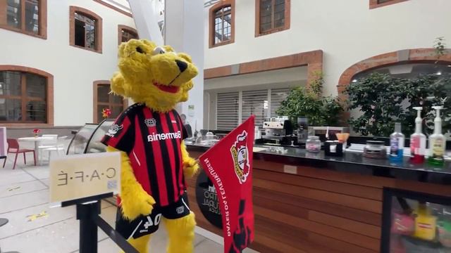 ✅🔥🔥 REFUERZO BOMBA AL TOLUCA | OFICIAL | LLEGA EL ULTIMO REFUERZO | FERNANDO NAVARRO APERTURA 2022 смотреть онлайн