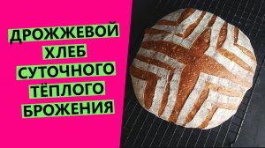 Дрожжевой хлеб СУТОЧНОГО⏳ БРОЖЕНИЯ: новый эксперимент. {ВЫБРАЖИВАЮ ТЕСТО ДОЛГО, ПОВЫШАЮ ПОЛЕЗНОСТЬ}