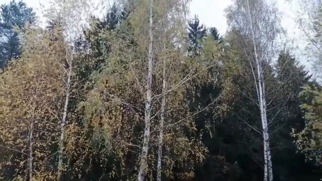 Семилетние циклы жизни человека смотреть онлайн