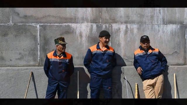 Радость суток