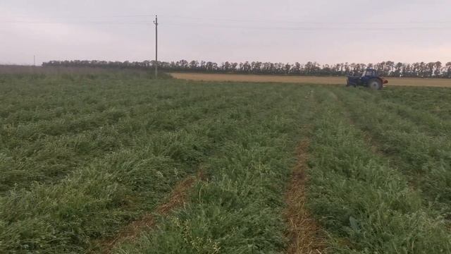 Заготовка сена. смотреть онлайн