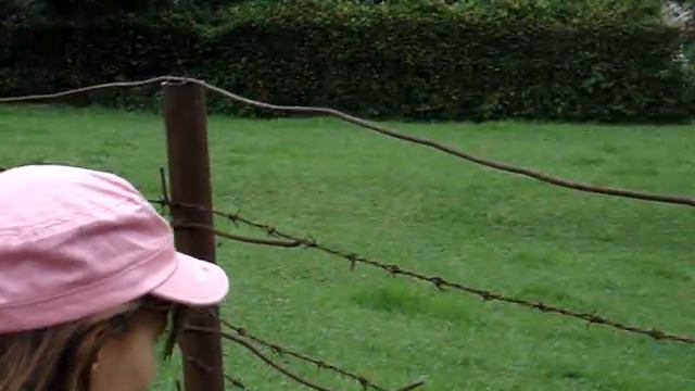 Индюки в Абхазии смотреть онлайн