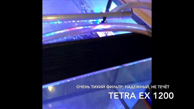Аква 180 и фильтр Тетра 1200 смотреть онлайн