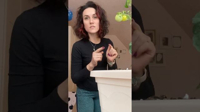 Почему рассада тянется? https://best-gryadka.ru смотреть онлайн