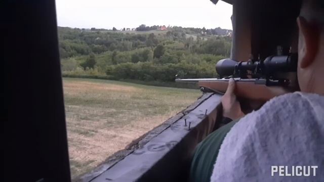 Lov šakala Zastava 7x64/ Jackal hunt смотреть онлайн