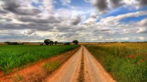 Я, ты, он, она. (Минус)