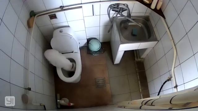 Белый Кот Втихаря Пьёт Воду Из Унитаза. White Cat Drinking Water From WC смотреть онлайн