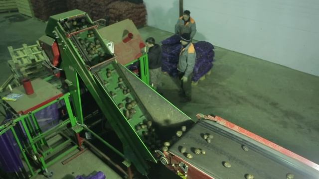 Линия оборудования для фасовки и упаковки овощей (картофель, лук, свекла, морковь) смотреть онлайн