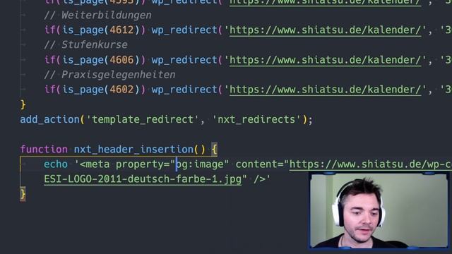 Code in den head-Bereich der eigenen WordPress-Seite einfügen (OHNE Plugin) смотреть онлайн