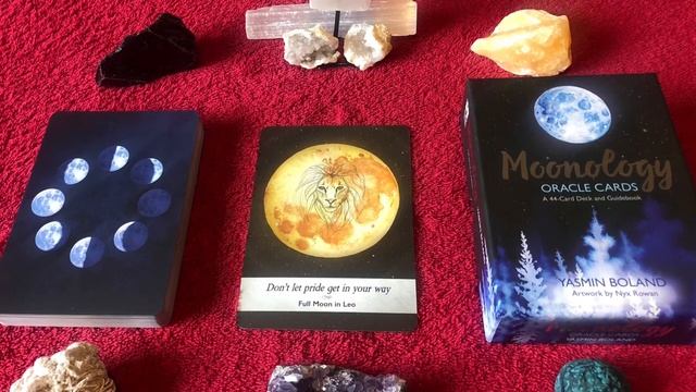 Moonology Oracle Deck Full Moon In Leo ♌️ guide book audio description смотреть онлайн