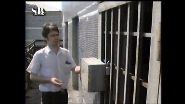 Евгений Осин и Юрий Шмелёв - Их подружили голуби, часть 3 смотреть онлайн