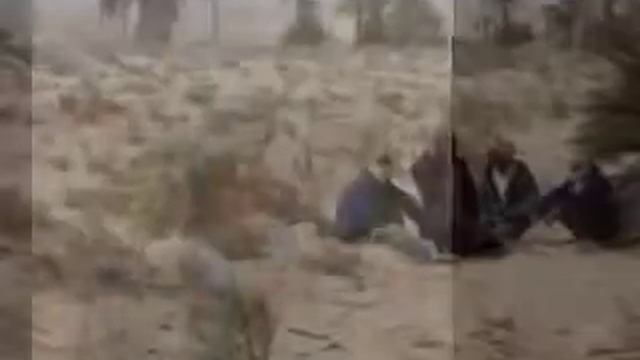 Desert Wisdom - Sahara смотреть онлайн