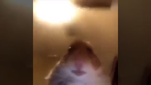 когда предки не купили тебе чипсы. Твоё лицо через 10 минут смотреть онлайн