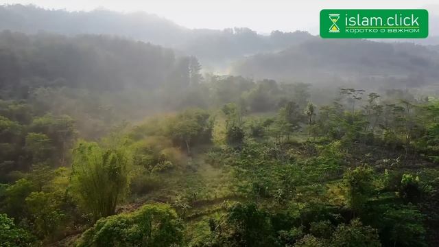 Краткое руководство на вторник 27 июня день ‘Арафа | Абу Яхья Крымский смотреть онлайн