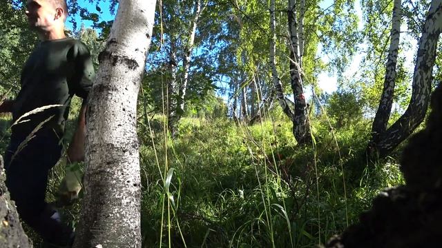 ГРУЗДИ-КОРОВНИКИ-ПОДБЕРЁЗОВИКИ-ПОДОСИНОВИКИ-БЕЛЫЙ ГРИБ #2 смотреть онлайн