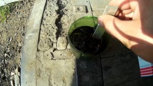 ДИМЕКСИД.КАК Отмыть поршни от нагара