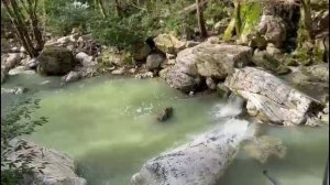 Прохор Шаляпин в Сочи. Март 2022 г.