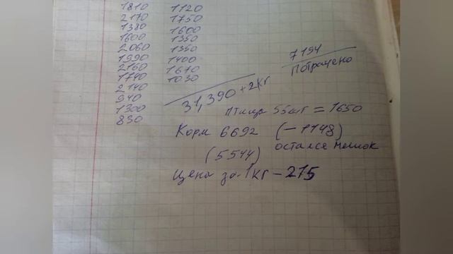 Бройлеры КОББ 500. Время расчетов. Итоги