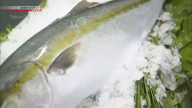 Sustainable Marine Products-Trails to Oishii Tokyo-NHK WORLD JAPAN On Demand смотреть онлайн