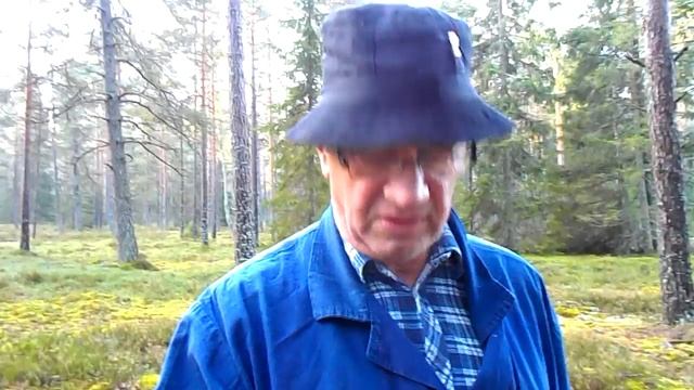 Грибы в Курземе (Латвия) смотреть онлайн