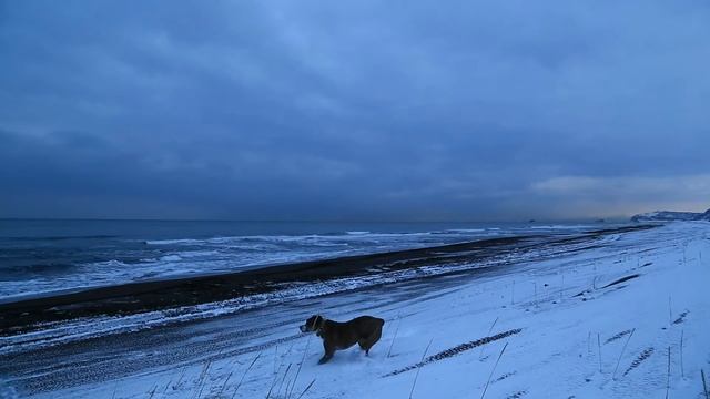 Тихий океан, Халактырский пляж, Камчатка 2017 г. смотреть онлайн