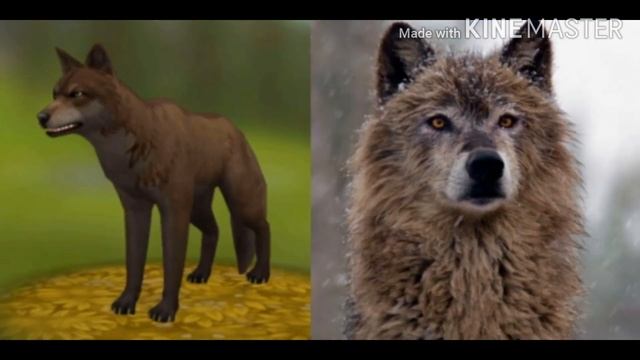 Окрасы волков из WildCraft в реальной жизни. смотреть онлайн