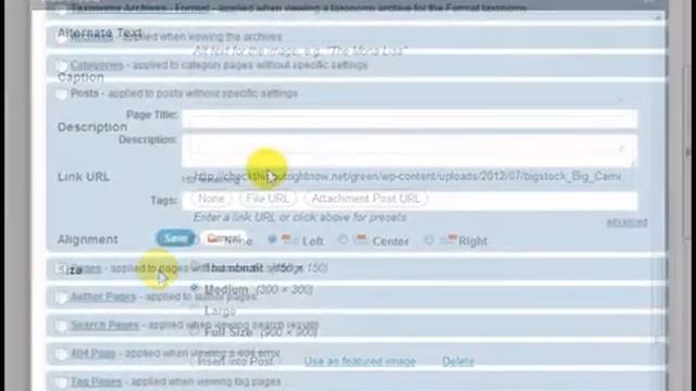 wordpress image resize [WP training] смотреть онлайн