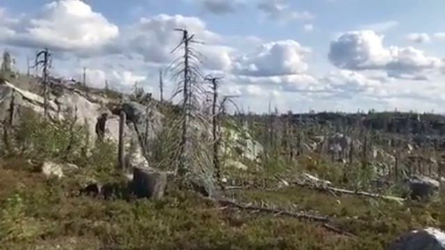 Карелия Гора Воттоваара смотреть онлайн