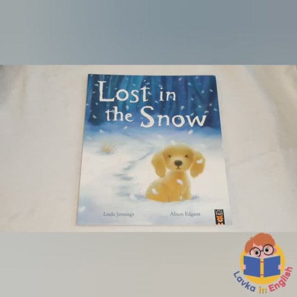 Lost in the Snow book