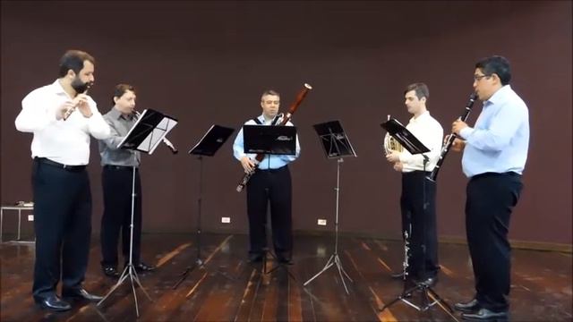 Quinteto Austro: Dimitri Cervo - Résila смотреть онлайн