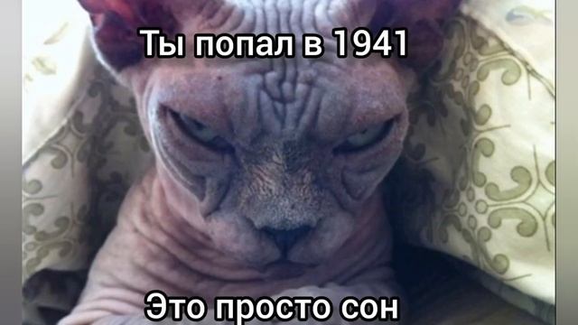 Мем тебе приснилось ( присутствует криповые сцены) смотреть онлайн