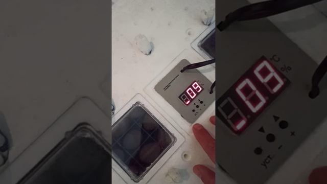 как настроить влажность в инкубаторе несушка четко и ясно ?