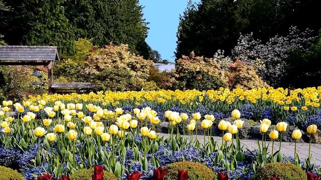 Сады Бутчардов - Канадское чудо смотреть онлайн