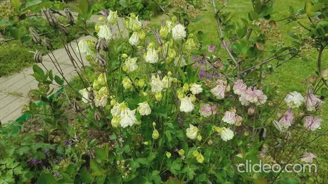 Вспоминаем лето... смотреть онлайн