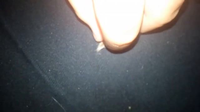 Как выглядит моль смотреть онлайн