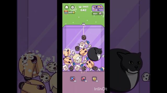 что будет если тыкать по середине в игре watermelon смотреть онлайн