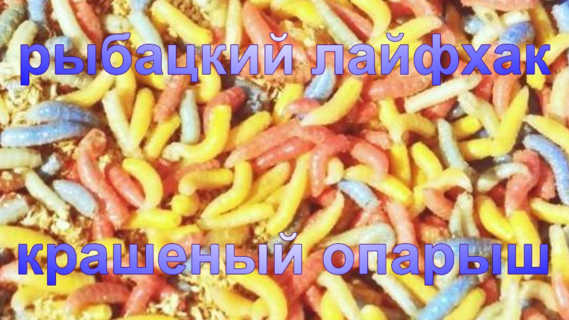 Хитрость для рыбака. Часть 2. Крашеный опарыш.