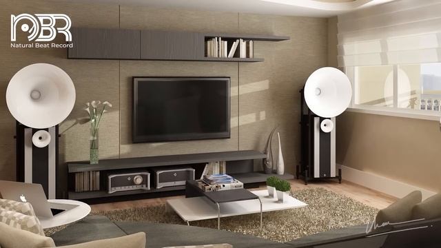 Hi-Res Audiophile Test Speaker - Best Voices & Dynamic Sound - Audiophile NBR Music