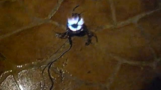 BOOSTER+1 TEST смотреть онлайн