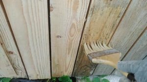 Чем убрать плесень,грибок, отбелить древесину. Моментальный эффект обновления,осветления.