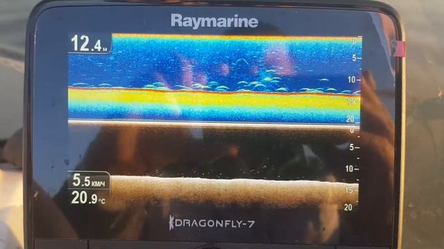 Эхолот Raymarin Dragonfly-7. Как выглядит рыба на эхолоте. смотреть онлайн